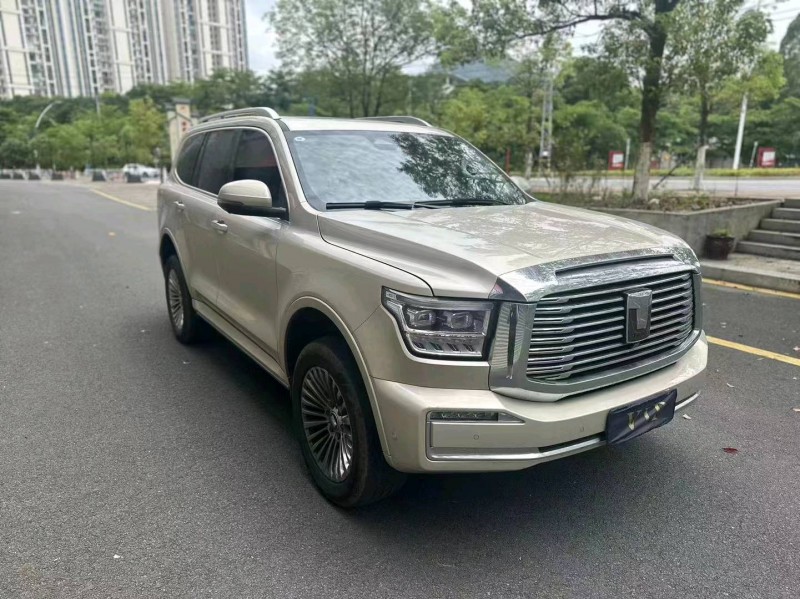珠海23年長城汽車坦克5002