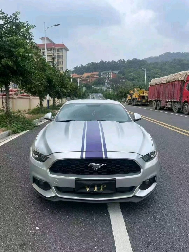 汕头17年福特野马1