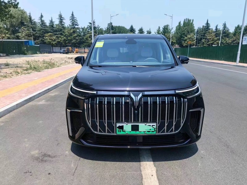 泰安24年嵐圖汽車夢想家1