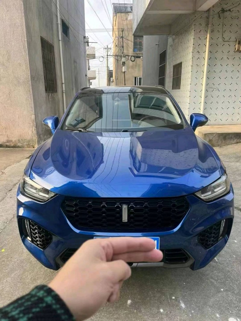 苏州18年长城汽车WEY VV51