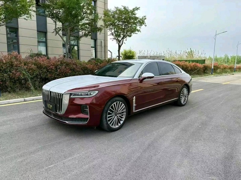 徐州20年红旗H93