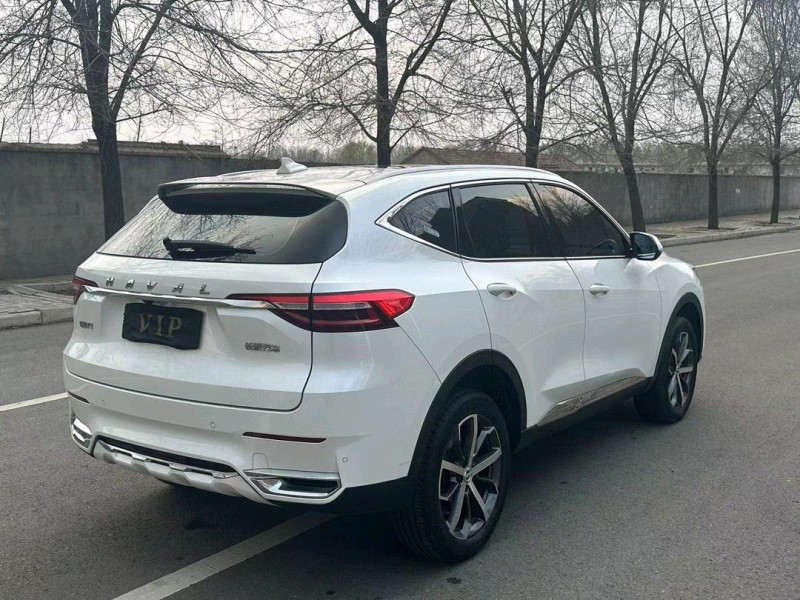 徐州20年哈弗F74
