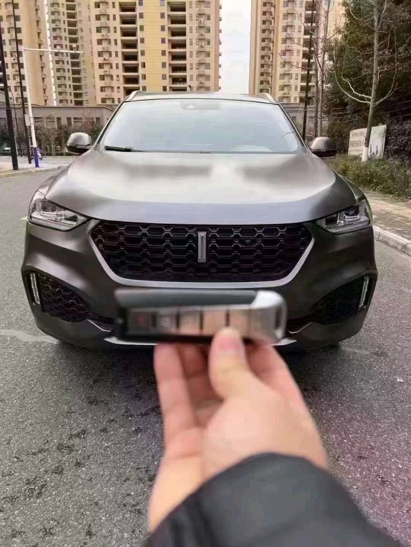 阜陽19年長城汽車WEY VV61