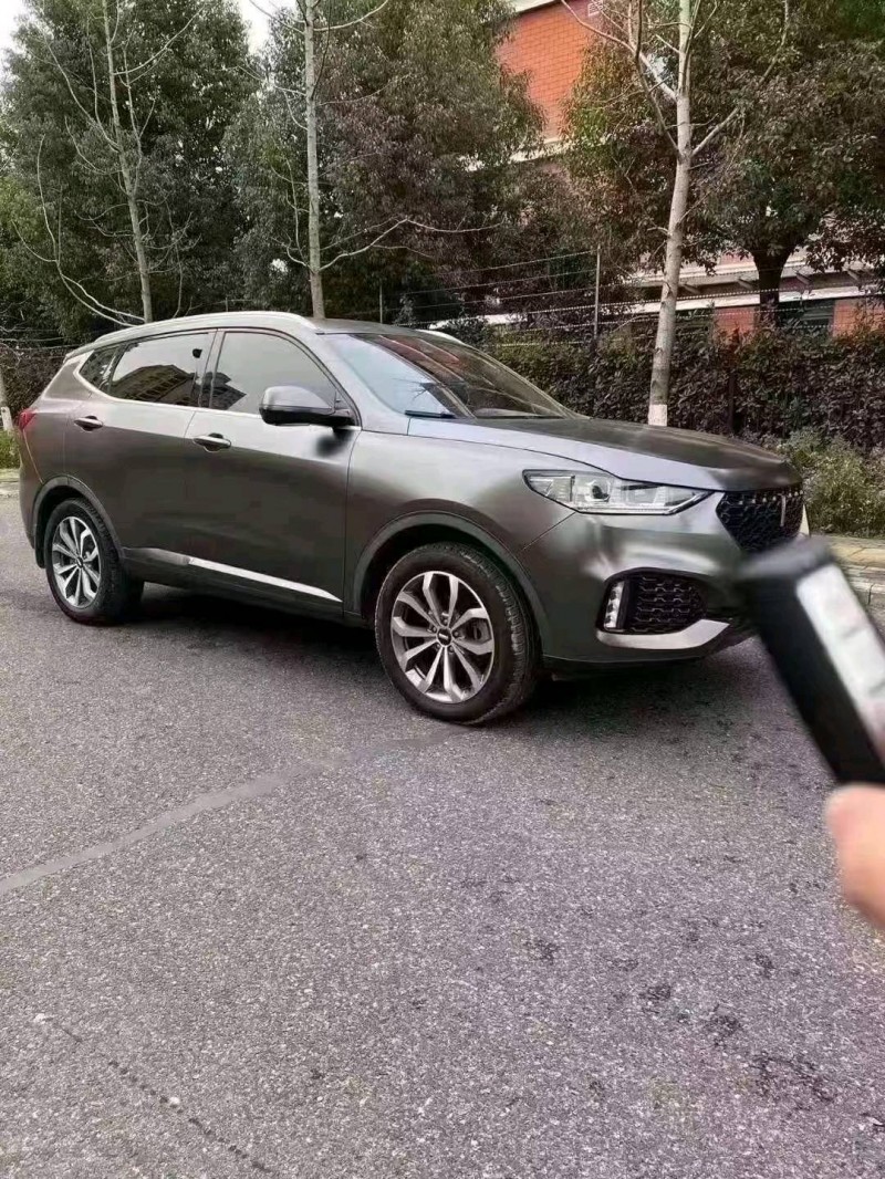 阜陽19年長城汽車WEY VV64