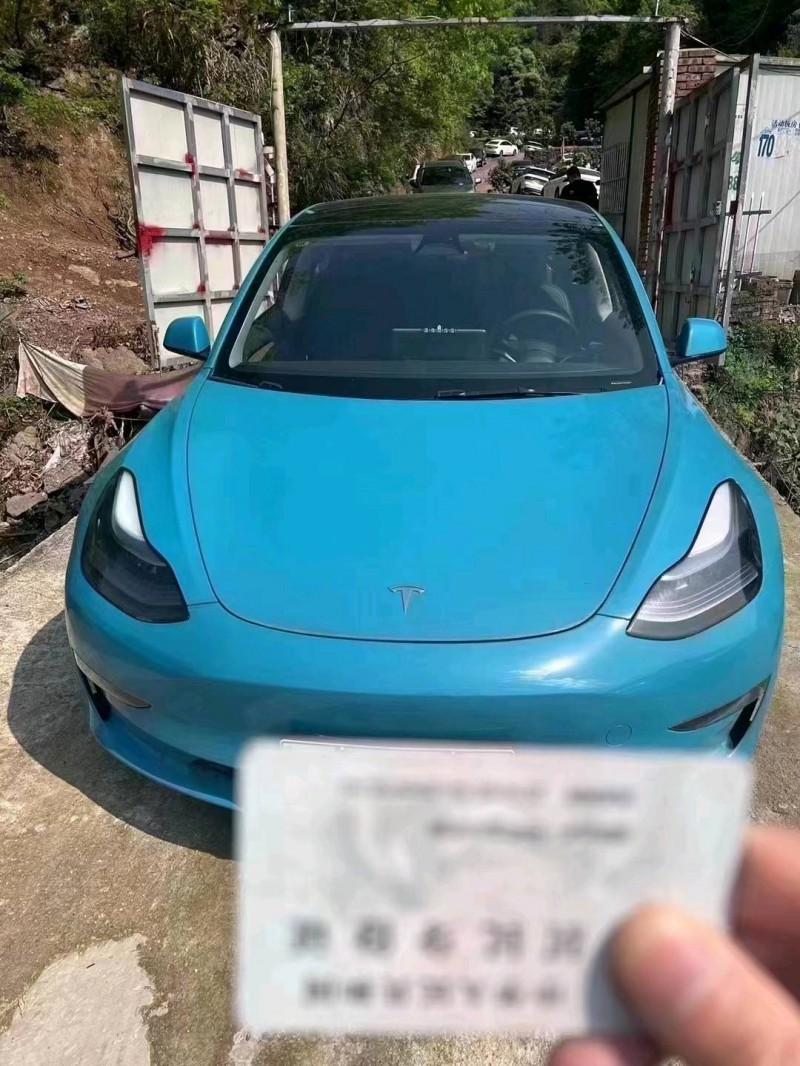 嘉興22年特斯拉MODEL 31