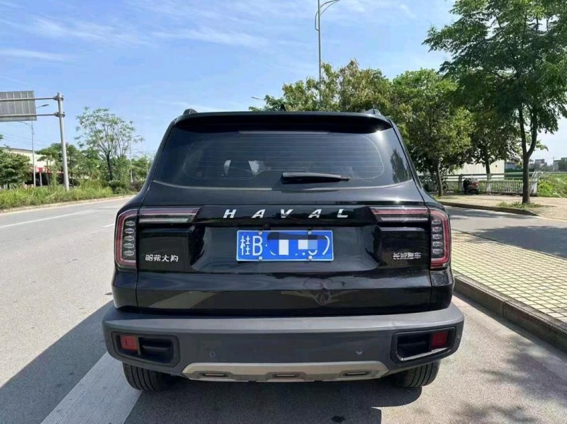 东营20年哈弗大狗6