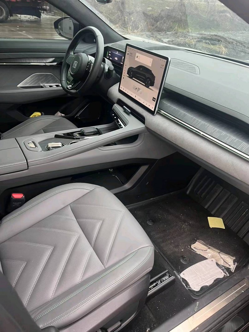 常州22年極氪汽車0017