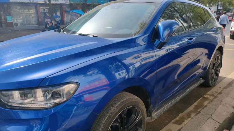 仙桃18年長城汽車WEY VV52