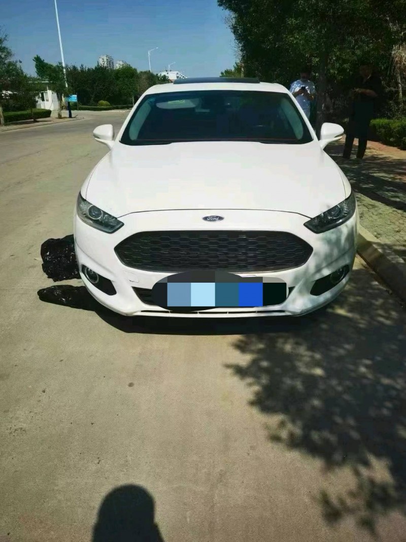 东营16年福特蒙迪欧1