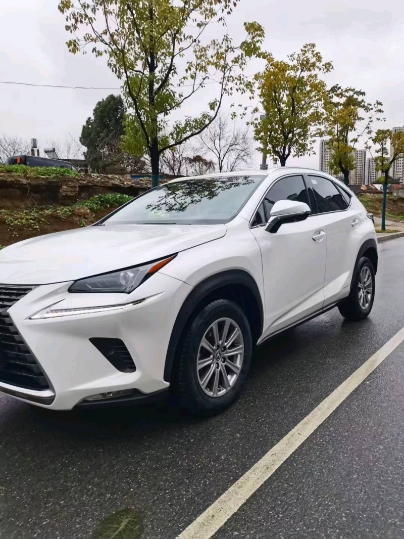 马鞍山20年雷克萨斯NX2