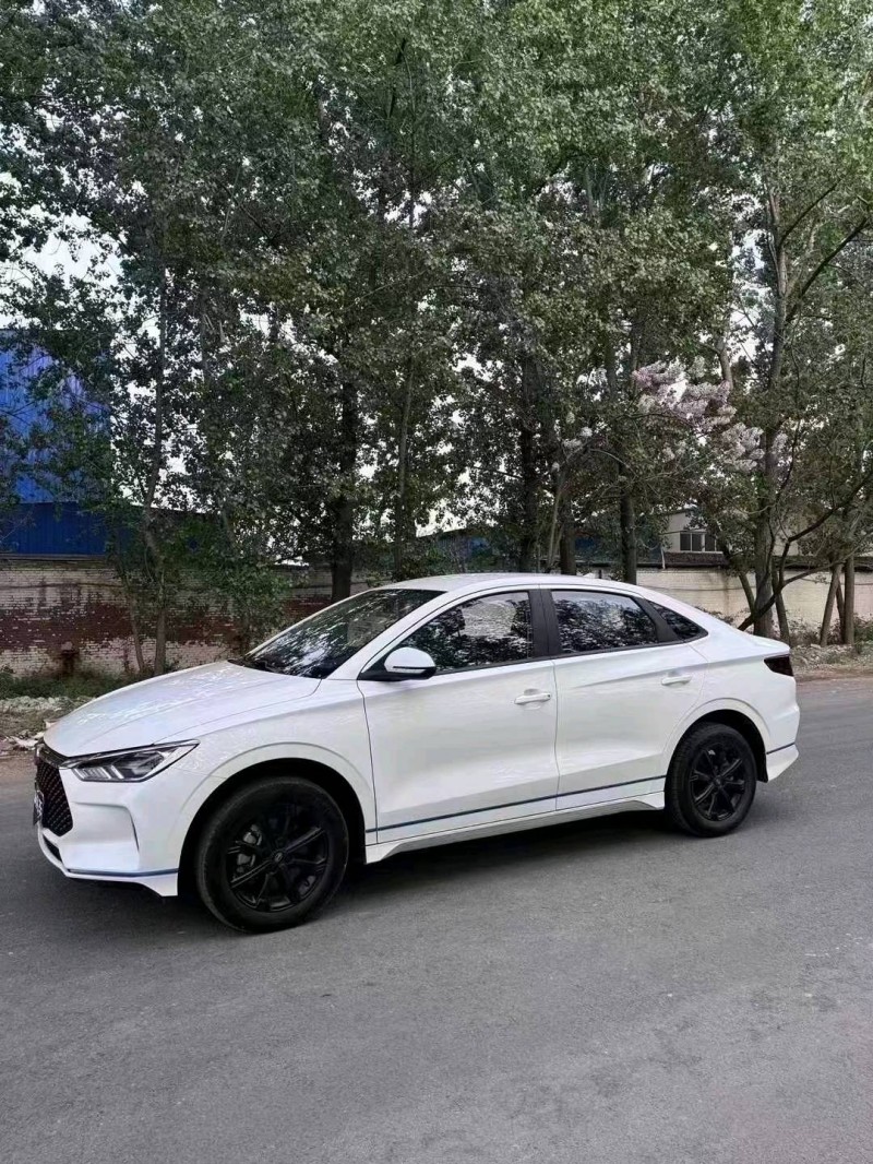 菏泽22年比亚迪E33