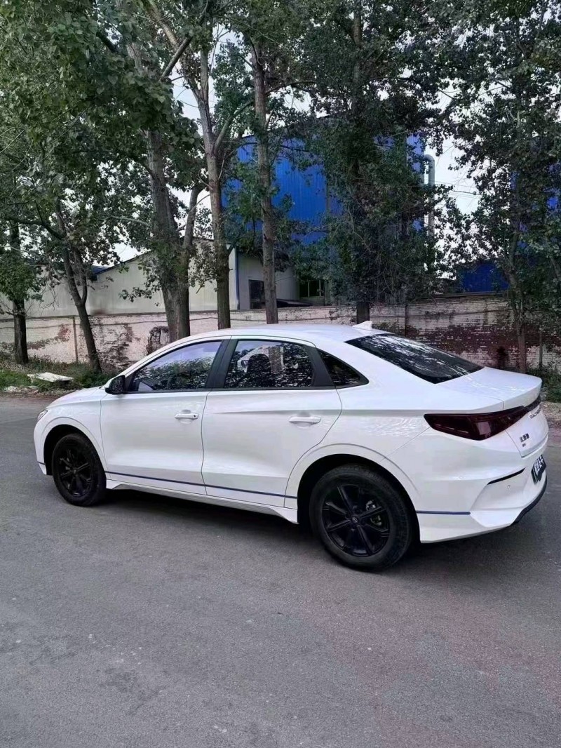 菏泽22年比亚迪E38