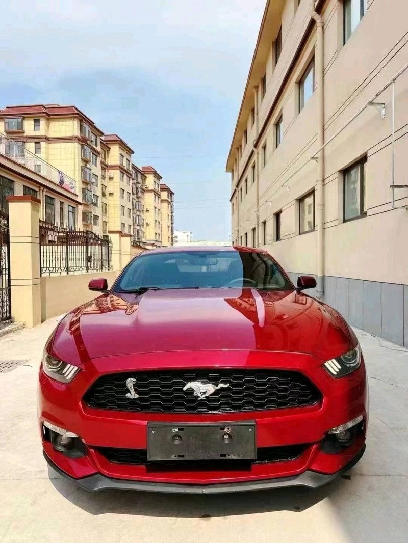 东营16年福特野马1