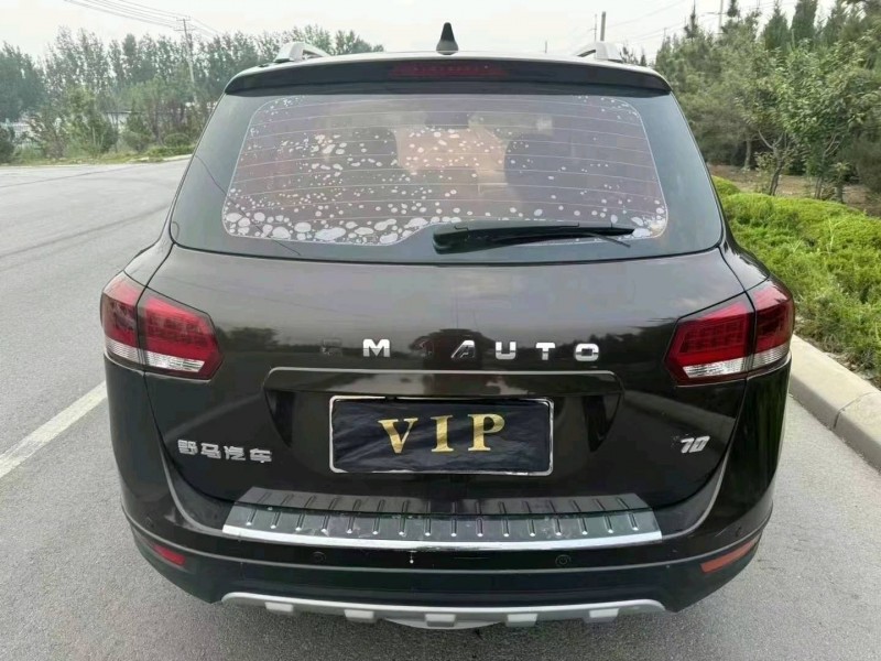 棗莊17年野馬汽車T707