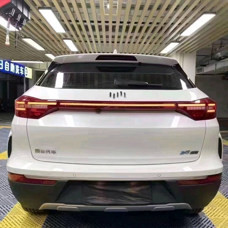 成都21年威马汽车EX-55