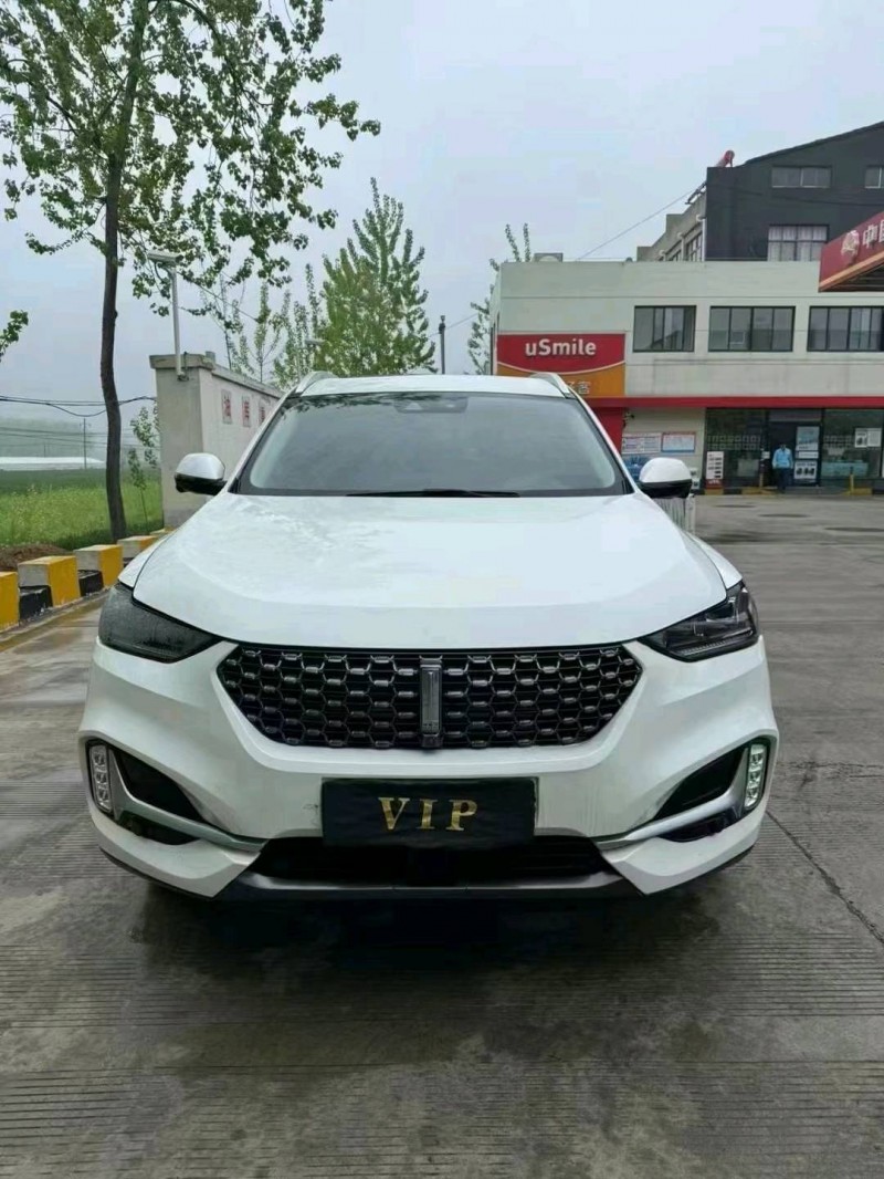 枣庄21年长城汽车WEY VV61