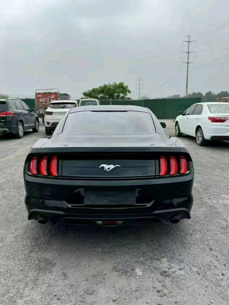 东营18年福特野马7