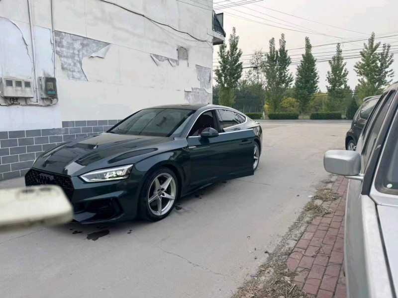 保定19年奥迪A53