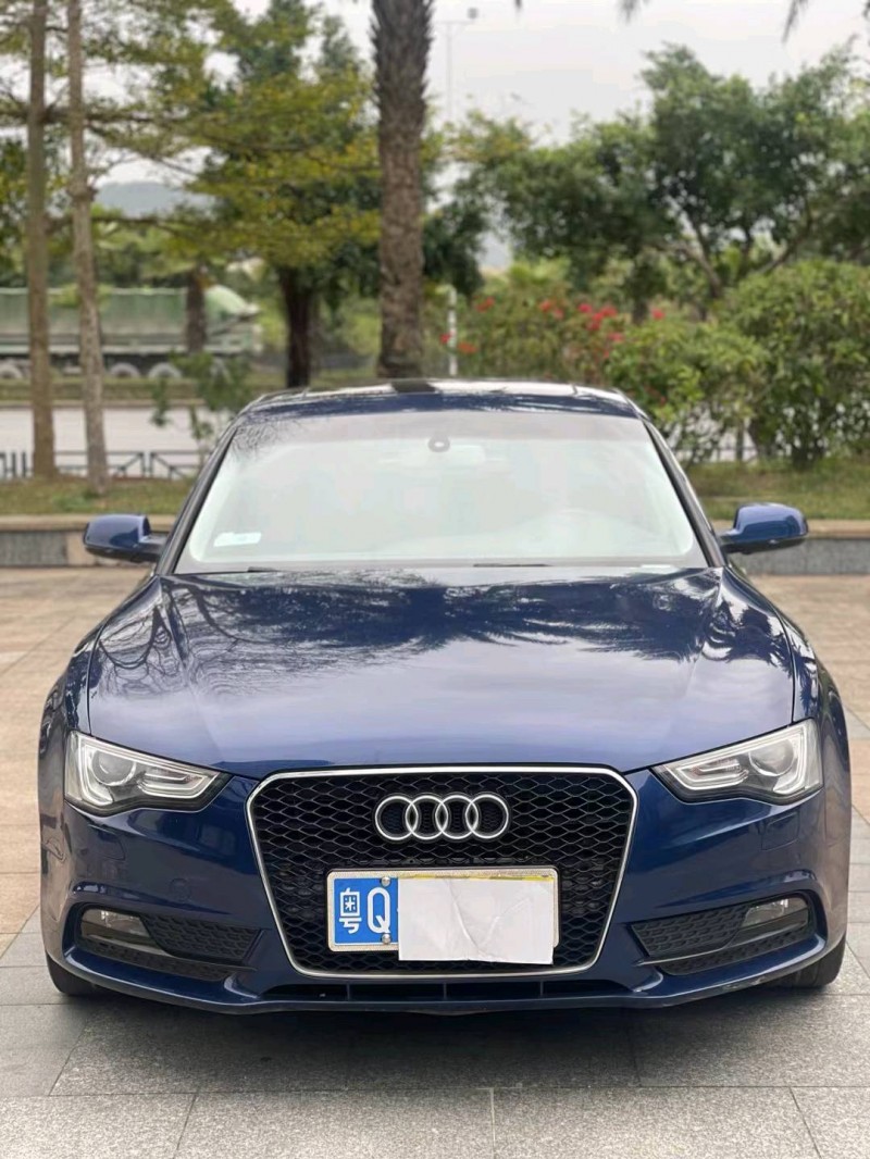 佛山14年奥迪A51
