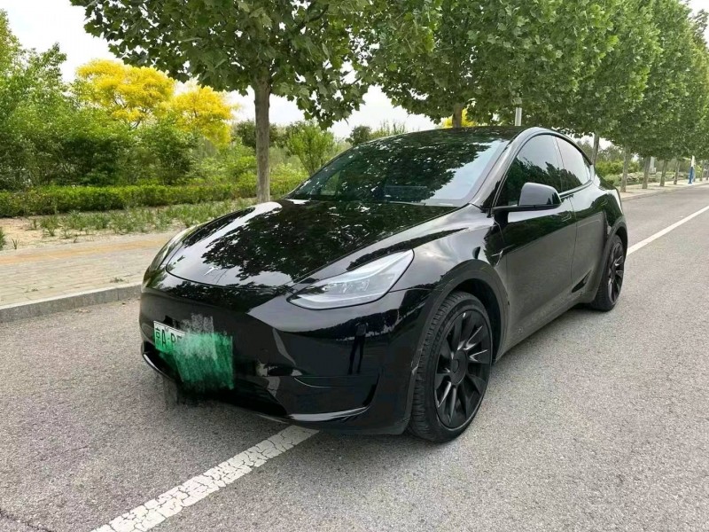 廊坊22年特斯拉MODEL Y3