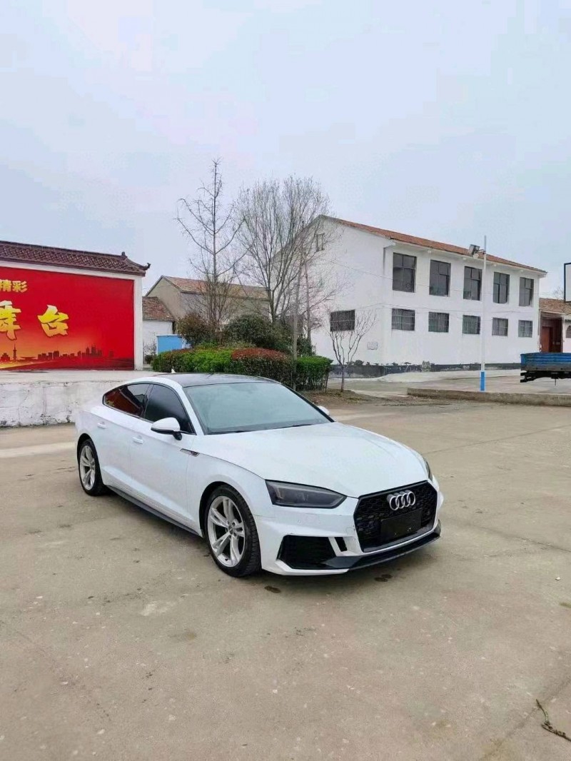 徐州20年奥迪A53