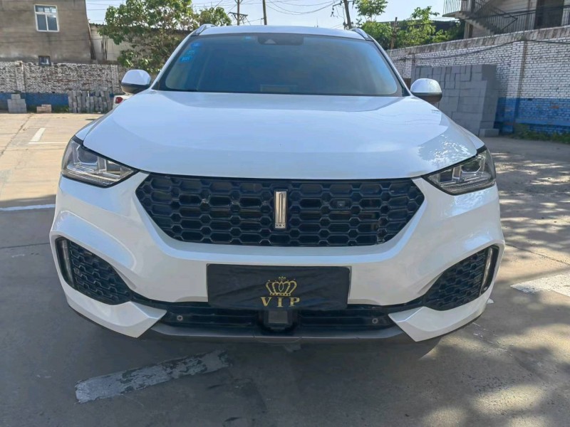 邢台19年长城汽车WEY VV61