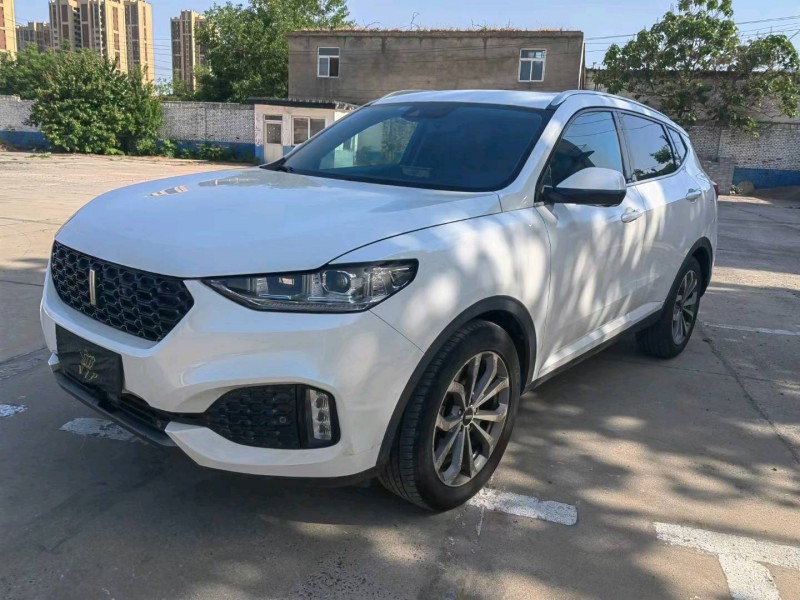 邢台19年长城汽车WEY VV62