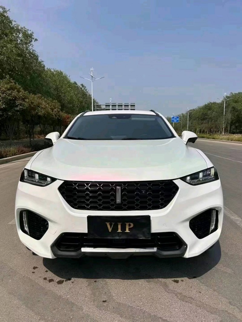 东营19年长城汽车WEY VV71