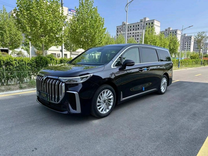 徐州24年嵐圖汽車夢想家3