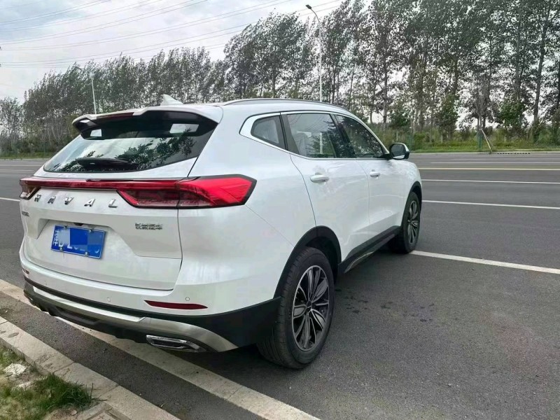 保定24年哈弗H65