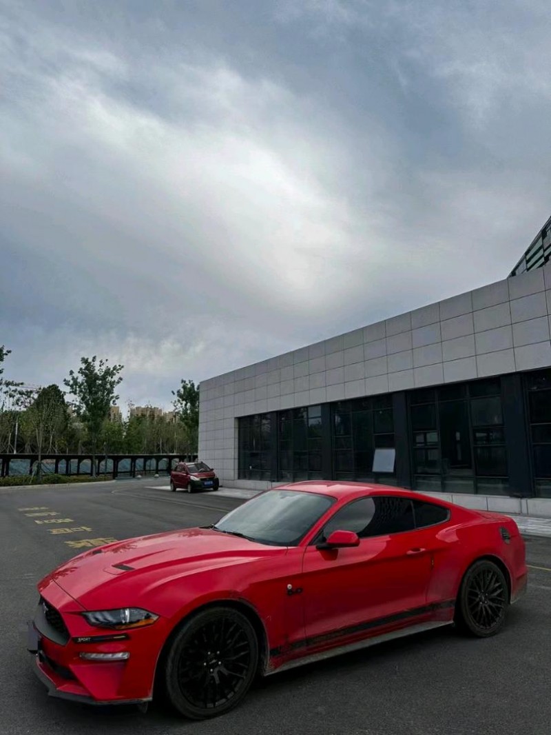 聊城18年福特野马3