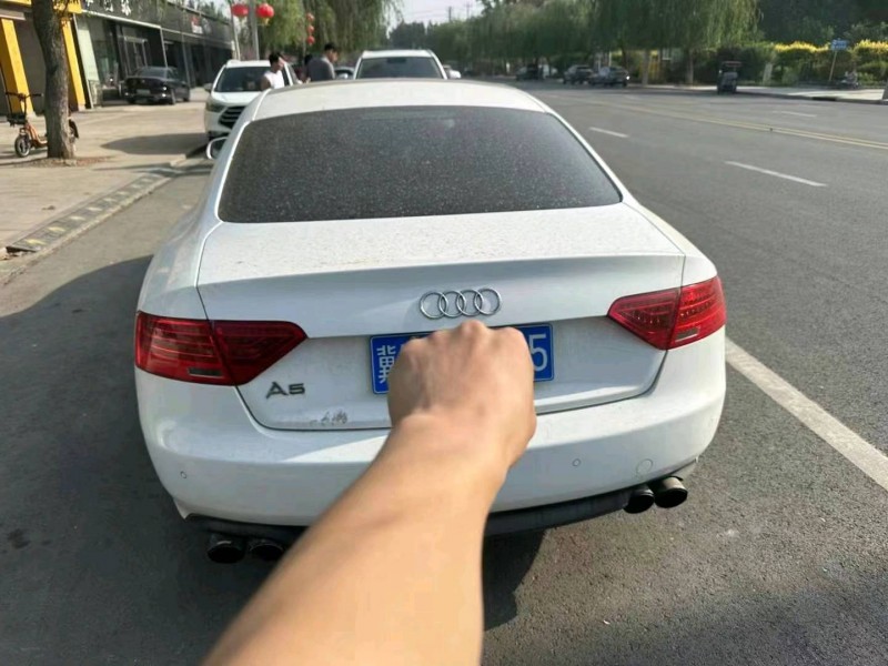 聊城11年奥迪A55