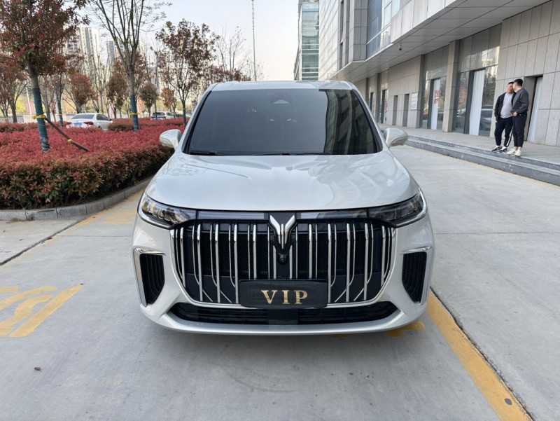 濟寧22年嵐圖汽車夢想家1