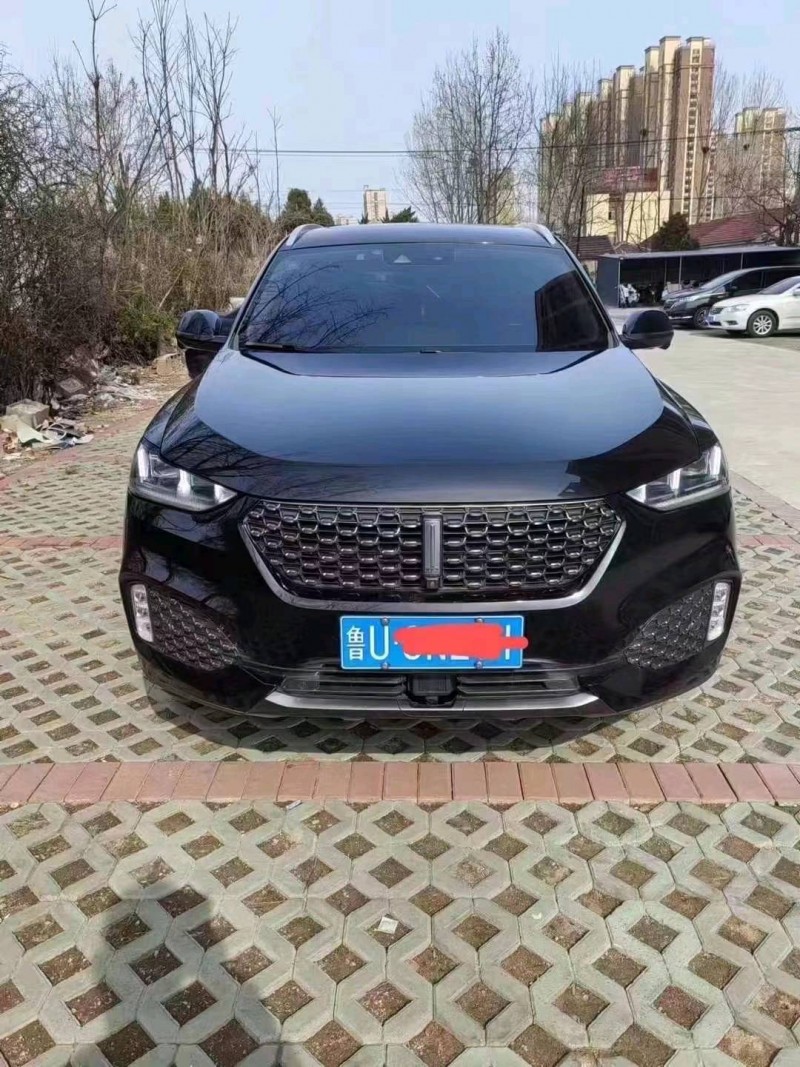枣庄20年长城汽车WEY VV61