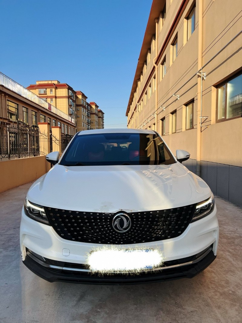 潍坊19年东风风光1