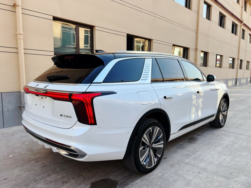 潍坊21年红旗E-HS94