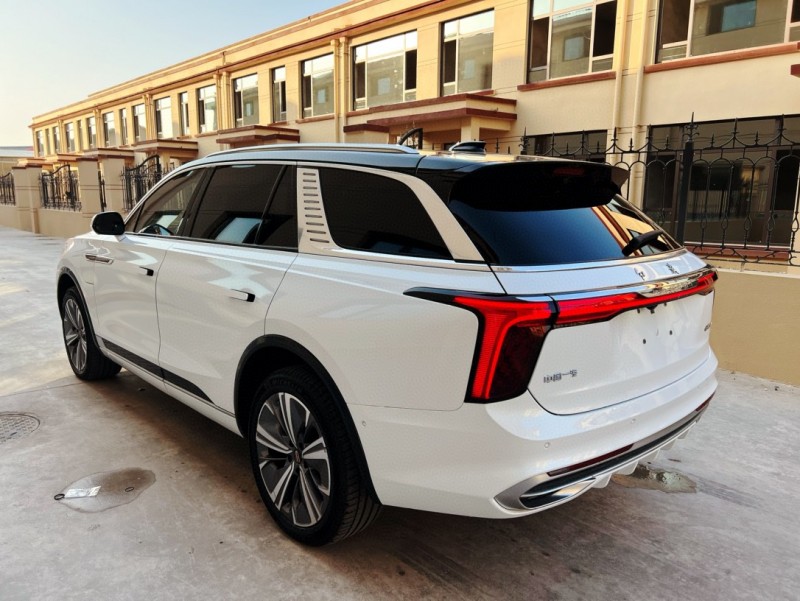 潍坊21年红旗E-HS95