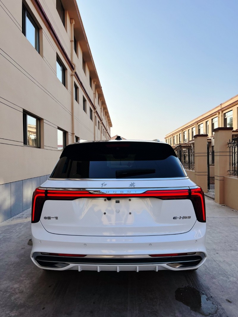 潍坊21年红旗E-HS99