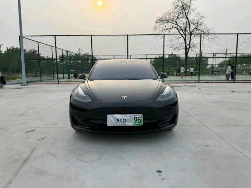 徐州21年特斯拉MODEL 31