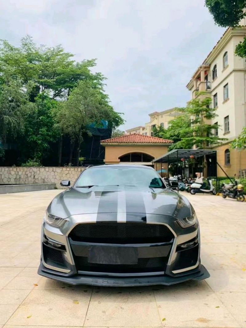 东莞16年福特野马1