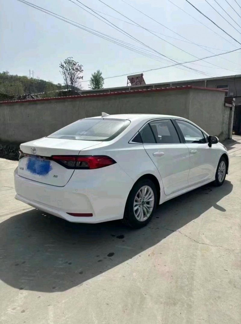 邯郸23年丰田亚洲狮7