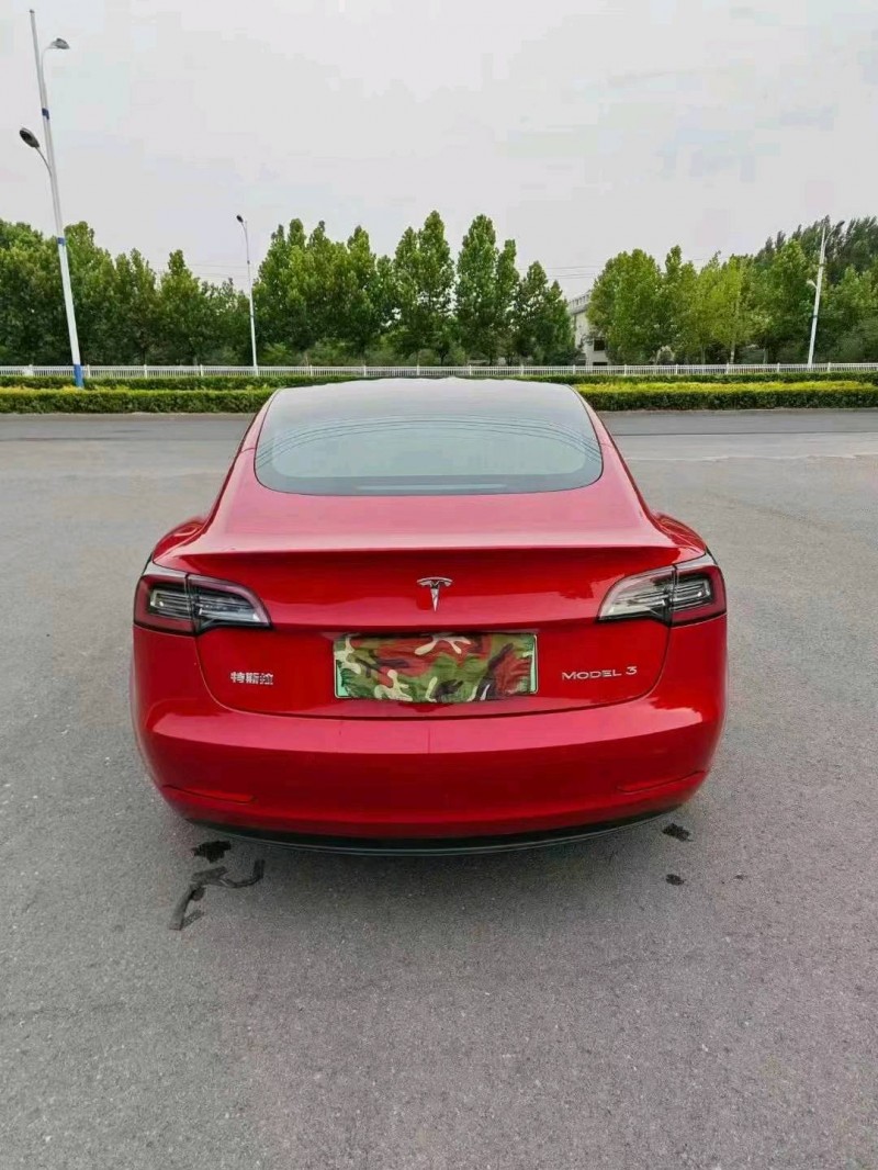 紹興20年特斯拉MODEL 39