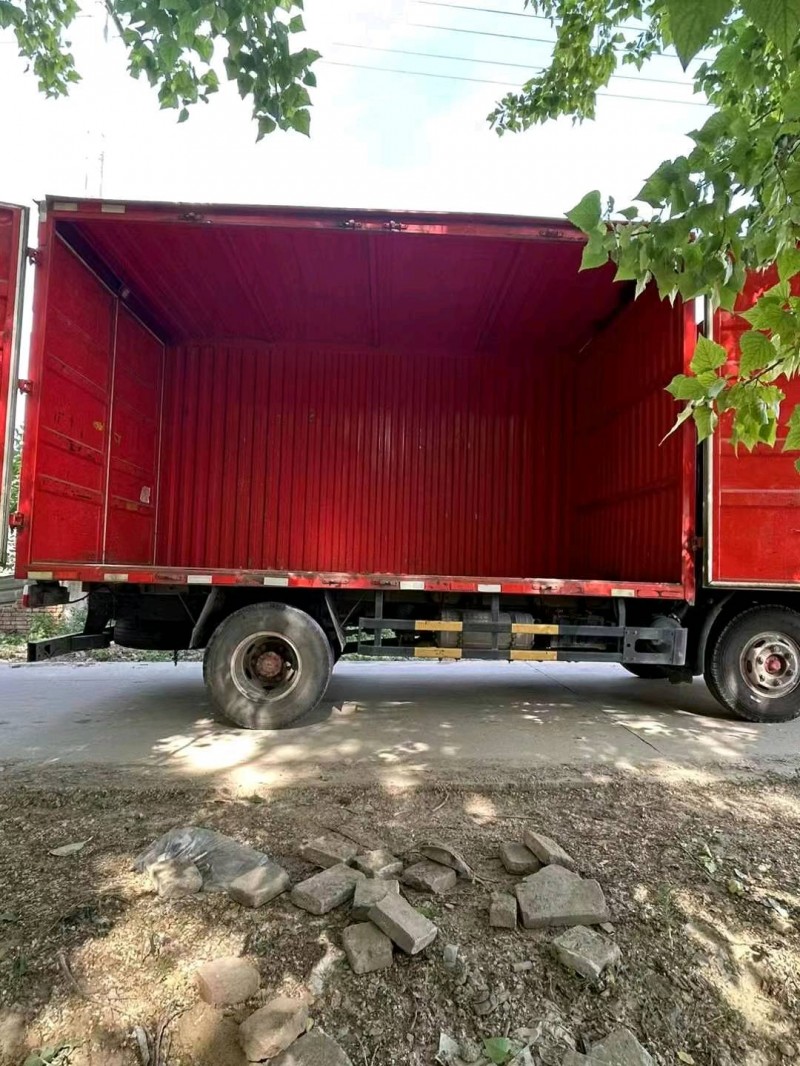 保定21年东风多利卡3