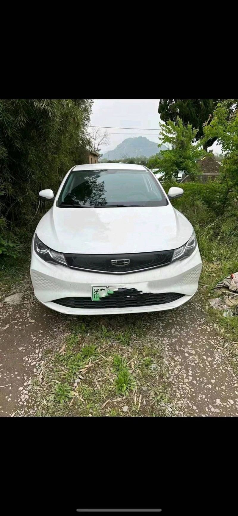 东营24年吉利帝豪EV1