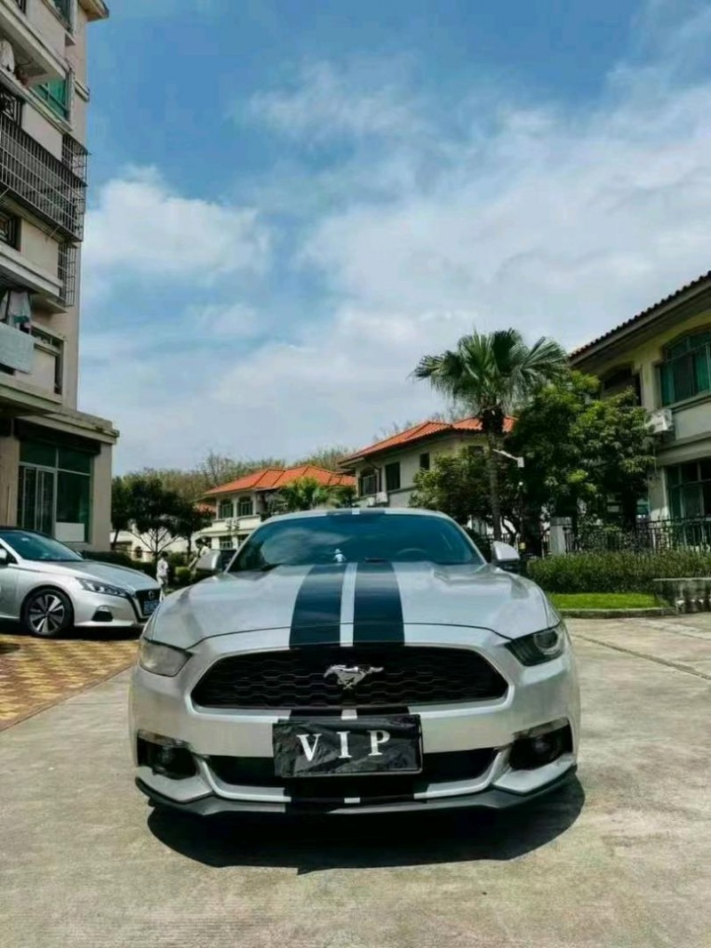 佛山15年福特野马1