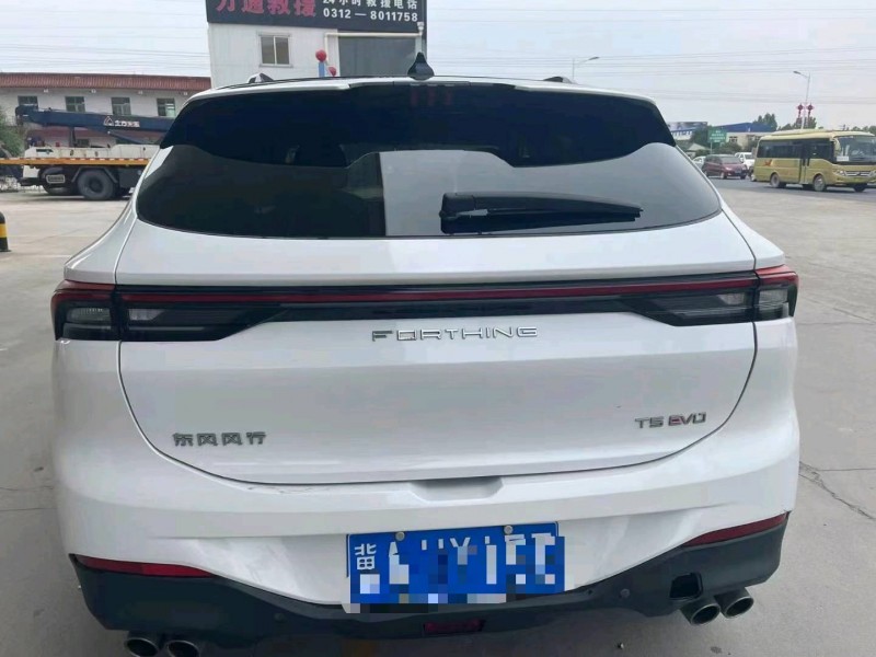 保定22年东风T59