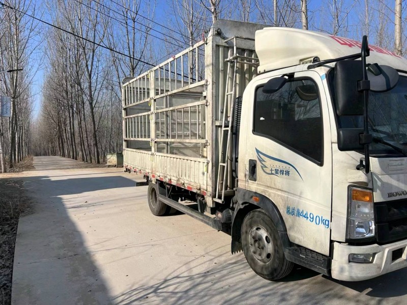 泰安23年卡車系列重汽豪沃2