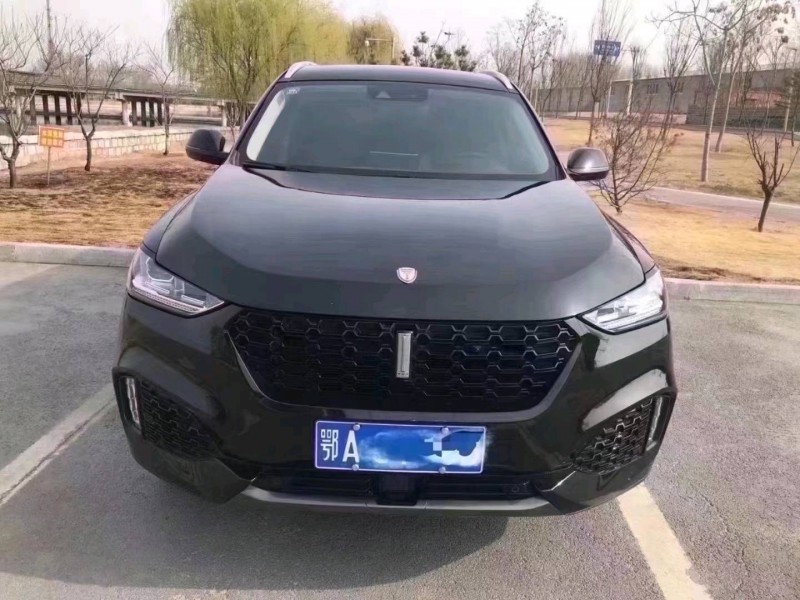 济南19年长城汽车WEY VV61