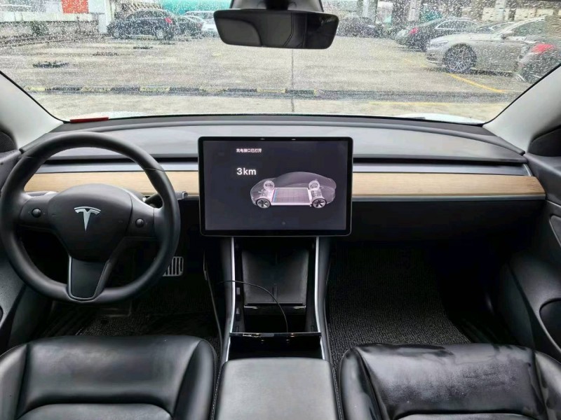 東莞20年特斯拉MODEL 35
