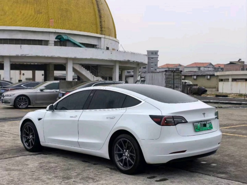 東莞20年特斯拉MODEL 38